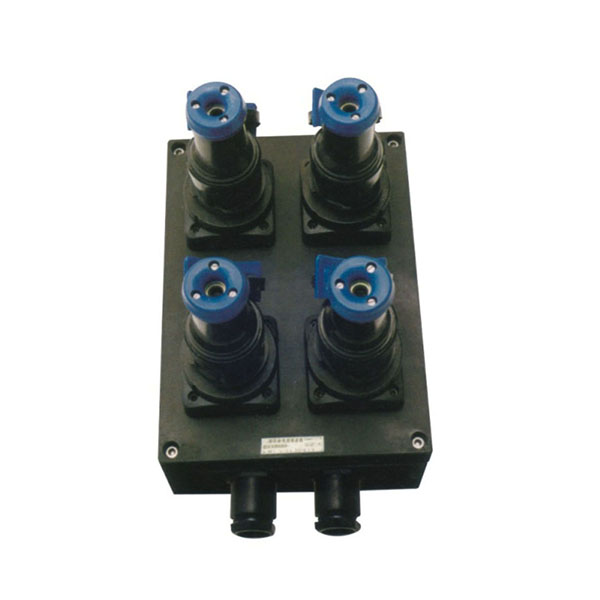 BXX8050系列防爆防腐电源插座箱(ⅡC)