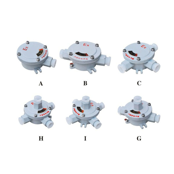 BHD51(AH)系列防爆接线盒(ⅡB、ⅡC、e)